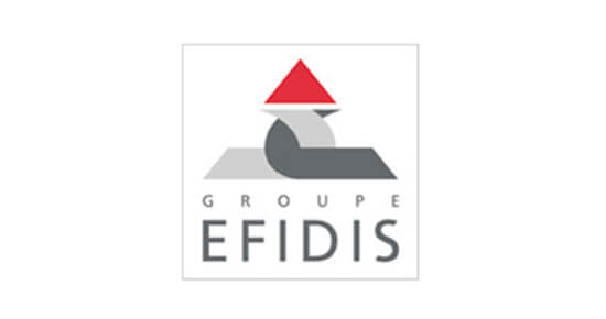 Logo Groupe Efidis - MSER